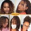 12 Inch Pre-looped Yanky Twist Crochet Hair 8 Packs 30