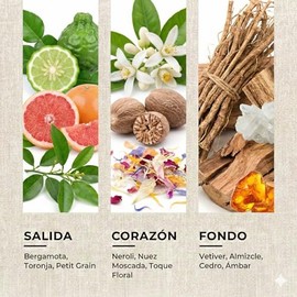 Esencia ambiental aroma Bergamote 22 para difusores profesionales y aromaterapia de alta concentración, 250 ml, aroma inspirado en diseñadores perfumi