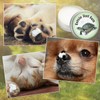 Reptile Shell Balm 2 oz Turtle Shell Care Conditioner Skin