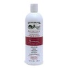 Pack of 1 x Stony Brook Shampoo Unscented - 16 fl oz