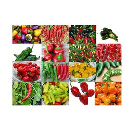 Please Read This is A Mix 30 Hot Pepper Mix Seeds, 16 Varieties Heirloom Non GMO Habanero, Tabasco, Jalapeno, Yellow and Red Scotch Bonnet, Ships from USA Capsicum