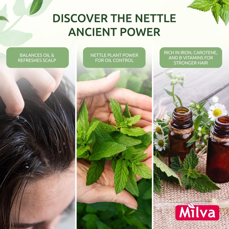 Nettle Shampoo – Helps Regulate Sebum Production, Reduce Dandruff &