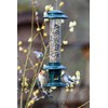 Squirrel Buster Evolution Truly Squirrel-Proof Bird Feeder, Double Cardinal Ring,