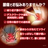 血流改善 腰ホットン つらい腰痛を温熱でやわらげる 衣類に貼る 10枚入 小林製薬