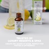 Pure Inventions- Antioxidante Vitamina C Electrolitos Sabor a Lima Limón