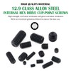 Keadic 450Pcs Internal Hex Drive Cup-Point Screw Assortment Kit -