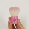 FWS – Pi 熊野 Brush Hex Theater Hall of Sakura Flower Face
