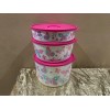 New Tupperware UNIQUE Butterfly & Flowers Theme Ilumina StacknStore Set