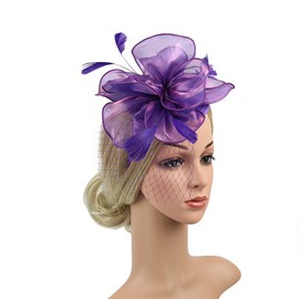 Song Qing Fascinators Hats for Womens Tea Party Derby Hat Feather Mesh Veil Headwear Hair Clip Cocktail Bridal Wedding