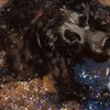 Cocker Spaniel Art, Happy Splashing Black Working Cocker Gift, Cocker
