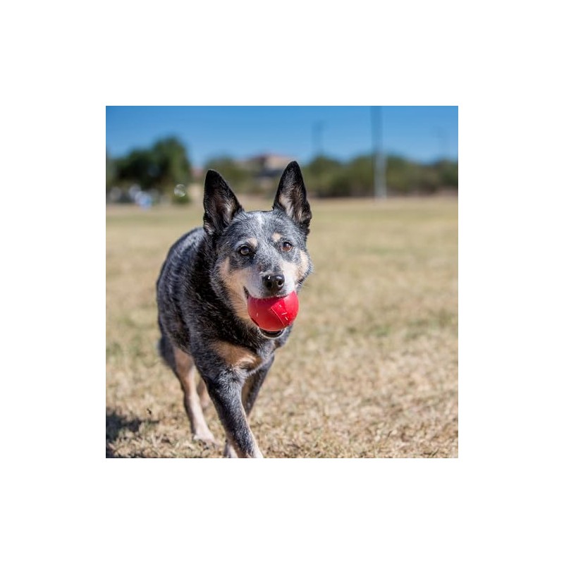Kong - Ball with Hole - Durable Rubber, Fetch Toy