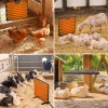 Smart Chicken Coop Heater 200 Watts Chick Heater Chicken Coop