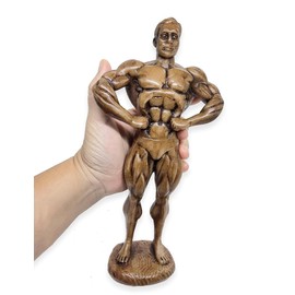 BestySuperStore Bodybuilding 10" Brown Front Lat Spread Pose Male Bodybuilder Figurine 3D Resin Muscle Man Figure Exercise Sports Decorative Figurines Souvenir Decoration Collectibles Home Decor Gifts