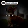 3 Pieces Dog Collar Reflective Dog Collar Nylon Dog Collar