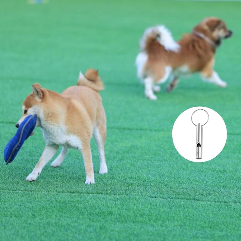 LIANRISES 6pcs Dog Training Whistles For Recall, Silent Dog Whistle