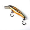 palms rapid 45s amago orangeberry