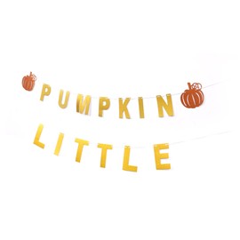 STOBAZA 2 Sets Pumpkin Thanksgiving Bunting Delicate Little Pumpkin Design Party Flag Photo Prop Decorative for Autumn Harvest Festival Window Door Wall