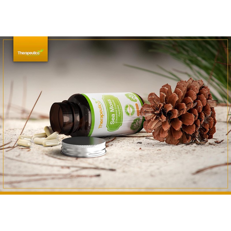 Therapeutico Sea Moss Capsules | Wild Harvested | 60 Veg