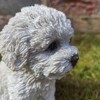 Vivid Arts Pet Pals Bichon Frise Puppy PP-BCHN-F