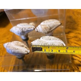 Sanibel Shores Set of 4 Sanibel Shores Ceramic Sea Shell Cabinet Drawer Knobs Pulls  NEW