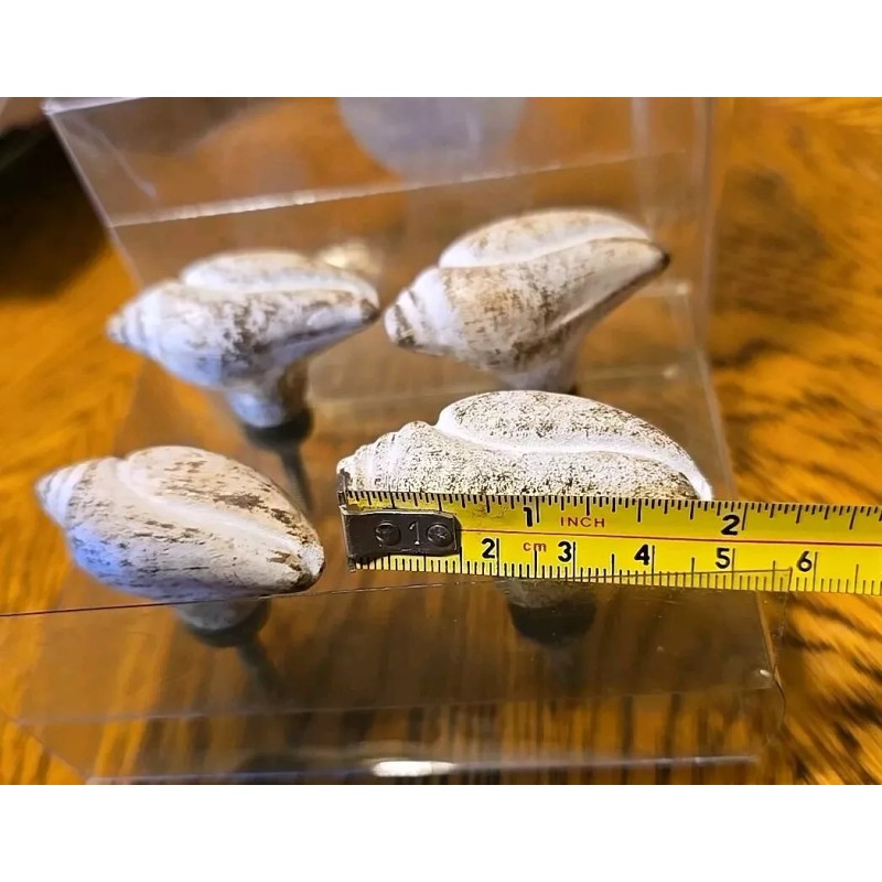 Sanibel Shores Set of 4 Sanibel Shores Ceramic Sea Shell