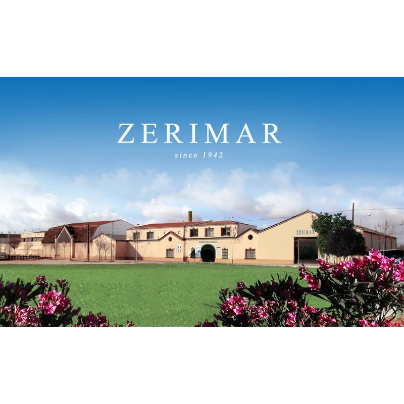 Zerimar Women's Anti-Theft Backpack, Leather Backpack, Vintage Leather Backpack, Measures: