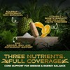 Soursop Graviola Capsules | Extra High Strength 15,000mg 30:1 Extract