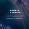 EO Liquid Hand Soap Refill, 1 Gallon, French Lavender, Organic
