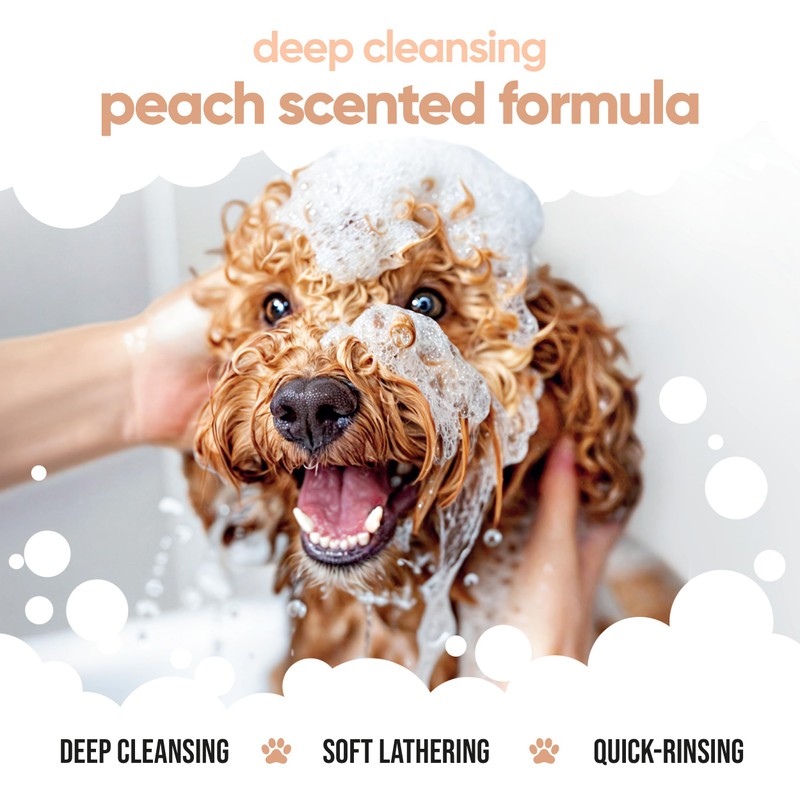 Curly Coat Shampoo by Buddycare (16.90oz)