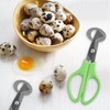 YILANJIN 2PCS Quail Egg Scissors, Anti-Rust Quail Eggs Opener, Shell