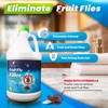 Natural Elements Fruit Fly Killer | Drain Flies, Gnats, Flying