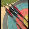 Wzenclave 50 Pcs Arrows Vanes 4-inch Shield Shaped Feather, Left