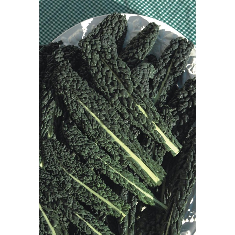 Viridis Hortus - Nero Di Toscana Borecole Curly Kale 1,500