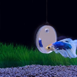 WE-POLUJ Floating Betta Exercise Mirror for Fish Tank, 5cm/6cm/7cm Floating Round Mirror Special for Betta Fitness Mirror, Beta Fish Accessory
