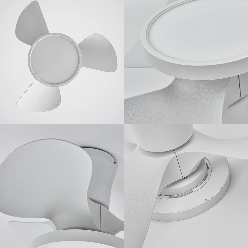 ocioc Quiet Ceiling Fan with LED Light 22 inch Large