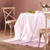 Homiest 1 Pack 60 x 84 Inches Satin Tablecloth Light