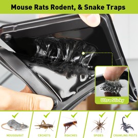 Pelrayt Glue Mouse Traps Indoor for Home, Rat Trap-12 Pack, Large Heavy Duty Glue Traps for Safe Home Pest Control. Pre-Scented, Non-Toxic Sticky Boards for Mice, Rats & More. Easy To Use