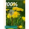 TeeLux Dandelion Leaf & Root Tea Bags, Natural Roasted Dandelion