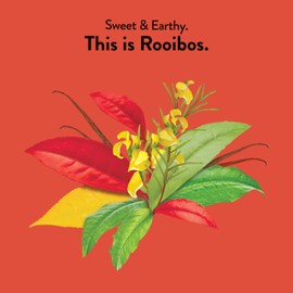 Choice Organics - Organic Rooibos Tea (3 Pack) - Fair Trade - Compostable - Caffeine Free - 48 Organic Herbal Tea Bags