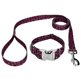 Country Brook Petz - Premium Pink Leopard Collar and Leash - Animal Prints Collection with 8 Wild Designs (5/8 Inch, Small)