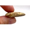 Picture Jasper Large Crystal Tumbled Stone, Palmstone Shape. 30-36mm in