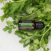 doTERRA - Cilantro Essential Oil - 15 mL