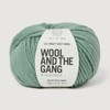 Wool and the Gang, Lil' Crazy Sexy Eucalyptus Green Wool