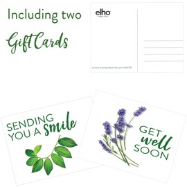 elho Green Basics Grow Pots set - With Saucers - 100% Recycled Plastic - Set of 5 - Ø 17 x H 15.8 cm - Black/Living Black