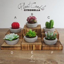 DarkSteve Decorative Citronella Plant Candle Collection - 6 pcs | Cactus Candles | Succulent Candles for Home Decor | Gifts