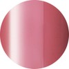 ageha Cosmetics Color 146 Smoke Red Gel Nail Supplies