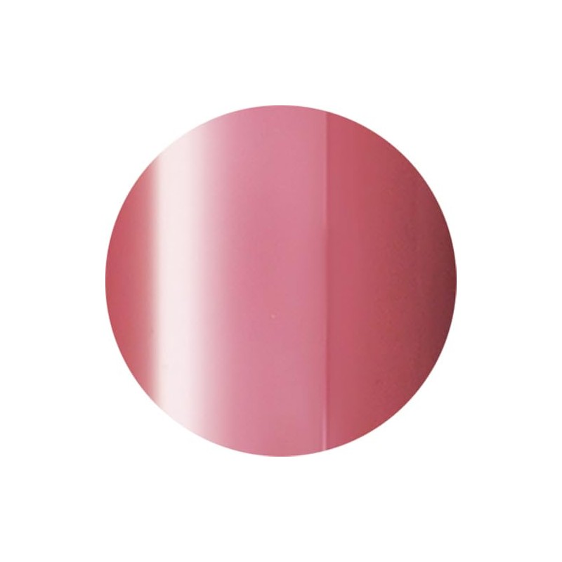 ageha Cosmetics Color 146 Smoke Red Gel Nail Supplies