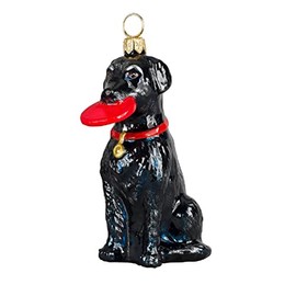 Black Labrador Retriever with Flying Disk Polish Blown Glass Christmas Ornament