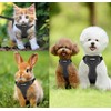 Cat Harness with Lead Set, Adjustable Cat Harness, Escape Proof