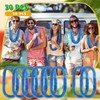 Janinka 50 Pcs Hawaiian Leis for Luau Party, Soft Twist